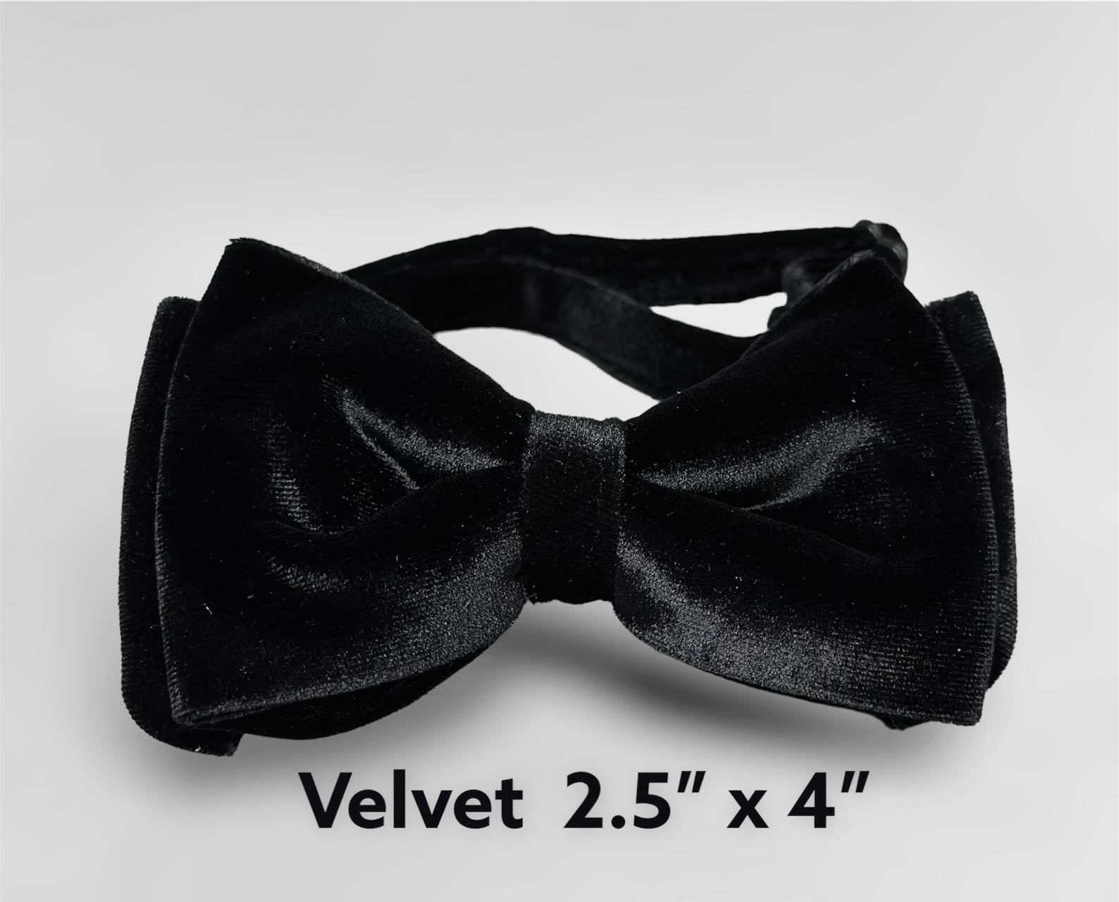 Bow Tie