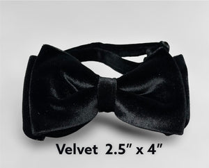 Bow Tie